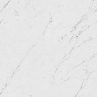 Напольная плитка Керамогранит AZQV Marvel Carrara Pure 60x60