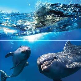 Панно WATERLIFE Dolphins 50x50
