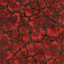 Напольная плитка DIABLO BLOODY RED 33,6х33,6