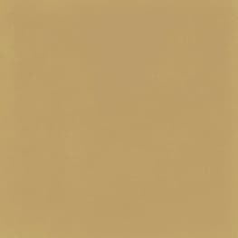 Керамогранит D_Segni Colore Mustard 20x20