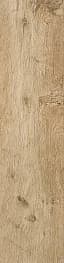 Напольная плитка Керамогранит Axi Golden Oak 22,5x90 R10 AS3C