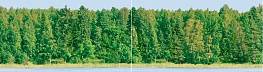 Панно FLORA Dec Forest Panno (из 2-х шт) КПН16Forest 25х90