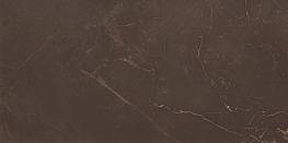 Настенная плитка Fiore Marble Marron WT9MRB21 249*500