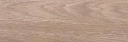 Настенная плитка Envy коричневый 17-01-15-1191 20х60