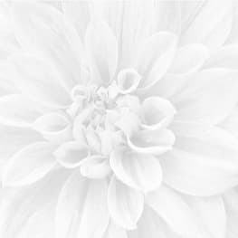 Панно SIGMA Crisantemo из 3-х шт 36-05-00-463-0 60х60