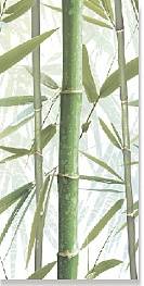 Декор Bamboo 3 DW9BMB304 249*500