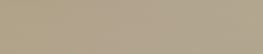 Настенная плитка WN1090 WHY NOT PALE TAUPE 10,6X49,5