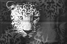Панно Aure Leopard (2) 30х45