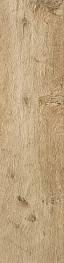 Напольная плитка Керамогранит Axi Golden Oak 22,5x90 AE7J
