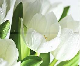 Панно Arco Digital Tulipany 50x60 (2)